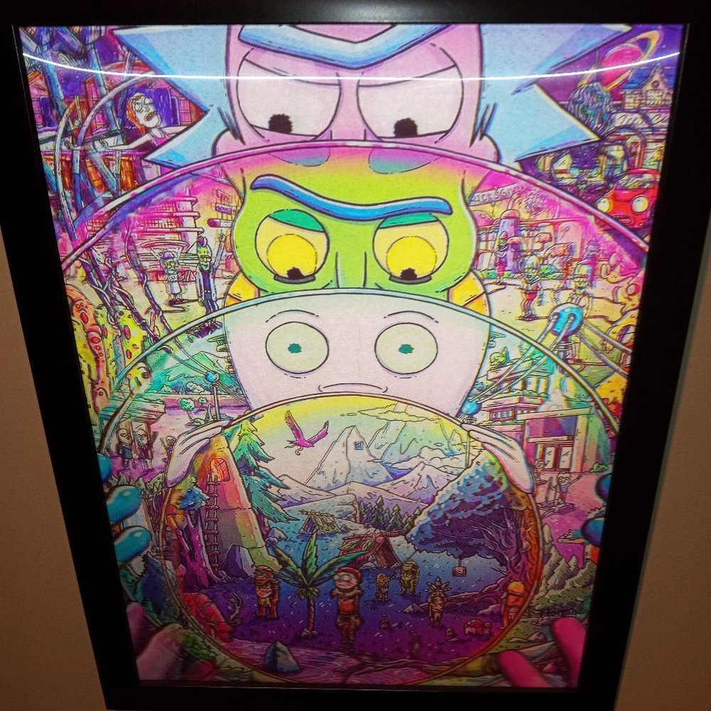 Rick and Morty framed 3D pictures